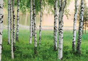 00290_Nordic_Forest | Yourdecoration.it