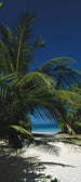 2 1061 Komar To The Beach Carta Da Parati 97X220cm 2 De | Yourdecoration.it