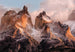 4 530 Komar Torres Del Paine Carta Da Parati 254X184cm | Yourdecoration.it