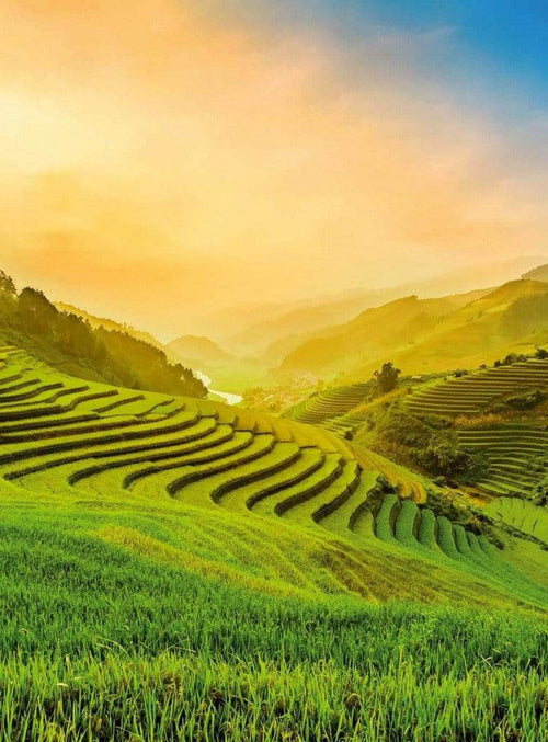 5032 4 Wizard_Genius Terraced Rice Field In Vietnam Carta Da Parati In Tessuto Non Tessuto 192X260cm 4 Strisce | Yourdecoration.it