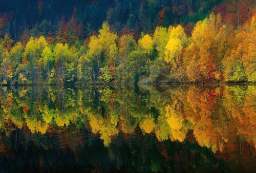 5067 8 Wizard_Genius Autumn Forest Lake Carta Da Parati In Tessuto Non Tessuto 384X260cm 8 Strisce_F17Ff9F5 041F 4E78 B940 7B7Ca8C12329 | Yourdecoration.it