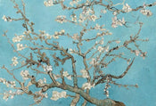 5454 8 Wizard_Genius Van Gogh Almond Blossom Carta Da Parati In Tessuto Non Tessuto 384X260cm 8 Strisce_9E456Fa2 153F 40D9 8018 53C2Fe99Fd5F | Yourdecoration.it