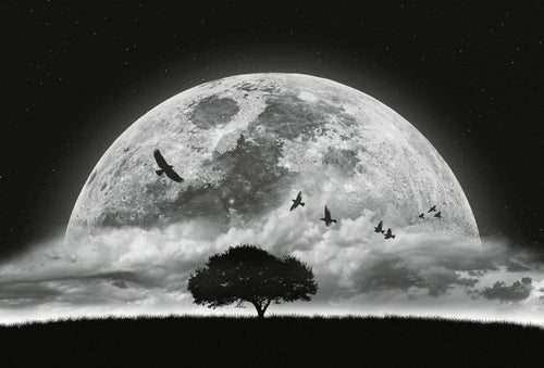 5464 8 Wizard_Genius Moon And Birds Carta Da Parati In Tessuto Non Tessuto 384X260cm 8 Strisce_Cd42C710 62F0 49Eb A22B D7E5B31F3Dc2 | Yourdecoration.it