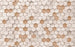 6005B Vd4 Komar Woodcomb Nude Carta Da Parati In Tessuto Non Tessuto 400X250cm 4 Strisce | Yourdecoration.it