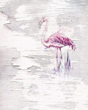 6007A Vd2 Komar Pink Flamingo Carta Da Parati In Tessuto Non Tessuto 200X250cm 2 Strisce | Yourdecoration.it