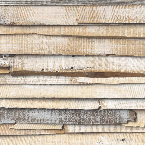 8 920 Komar Whitewashed Wood Carta Da Parati 368X254cm_52A4521C 179A 4Bd7 97Ad A436806Fdfa3 | Yourdecoration.it