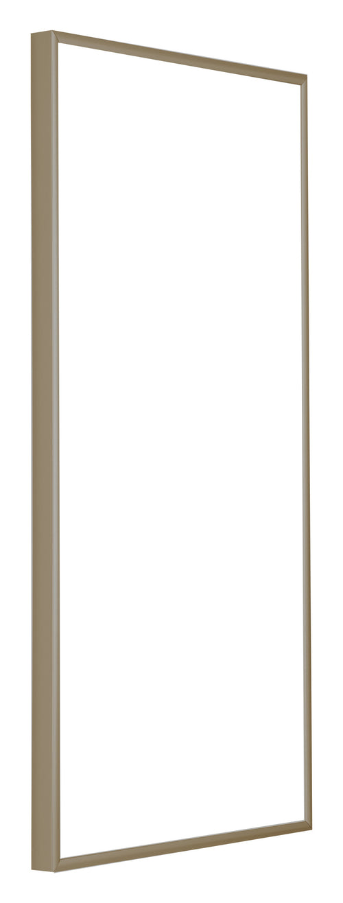 Austin Alluminio Cornice 40x80cm Champagne Davanti Obliquo | Yourdecoration.it