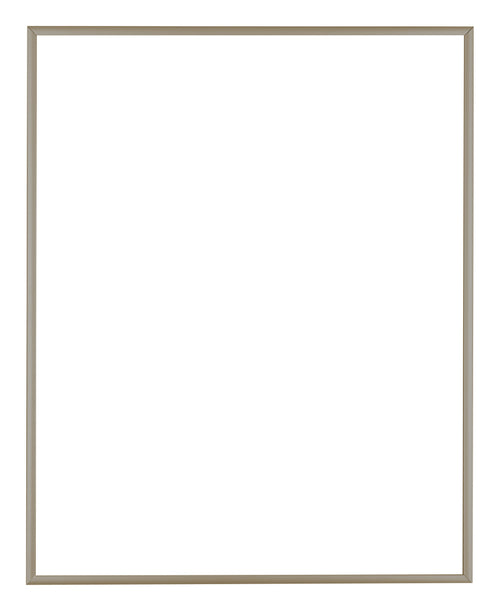 Austin Alluminio Cornice 56x71cm Champagne Davanti | Yourdecoration.it