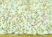 Komar Oiseaux du Paradis Tessuto Non Tessuto Carta Da Parati 350x250cm 7 strisce | Yourdecoration.it