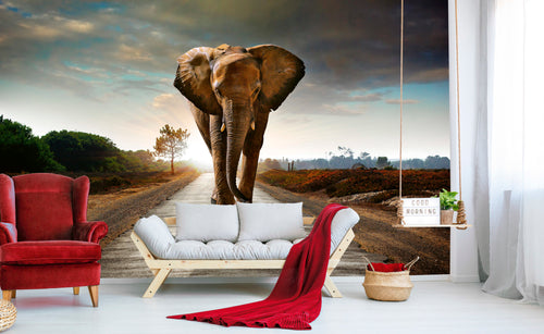 Carta da Parati - Walking Elephant 375x250cm - Tessuto non Tessuto