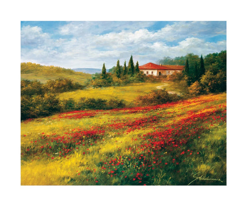 PGM SRH 05 Heinz Scholnhammer Landschaft mit Mohn I Stampa Artistica 60x50cm | Yourdecoration.it