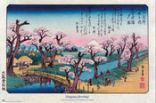 Poster Cherry Trees At Koganei Utagawa Hiroshige 61x91 5cm Grupo Erik GPE5930 | Yourdecoration.it