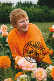 Poster Ed Sheeran Rose Field 61x91 5cm Abystyle GBYDCO396 | Yourdecoration.it