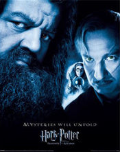 Poster Harry Potter The Prisoner Of Azkaban 40x50cm Pyramid MPP50820 | Yourdecoration.it