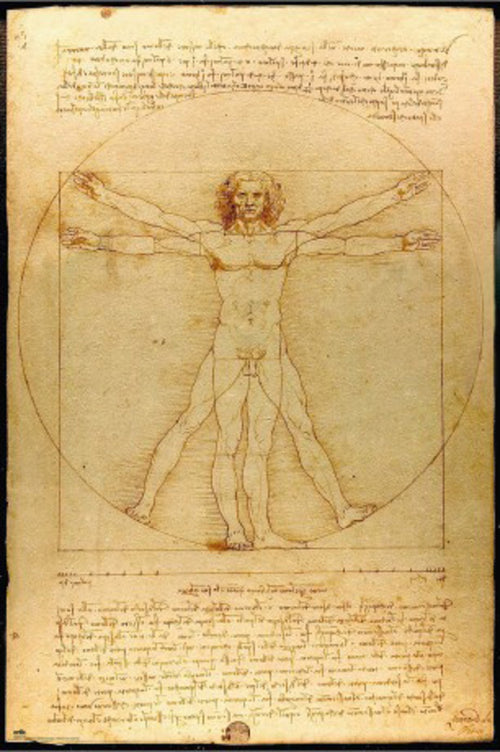 Poster Vitruvian Man 61x91 5cm Grupo Erik GPE5819 | Yourdecoration.it