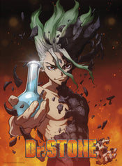 Dr Stone Senku Poster 38X52cm | Yourdecoration.it