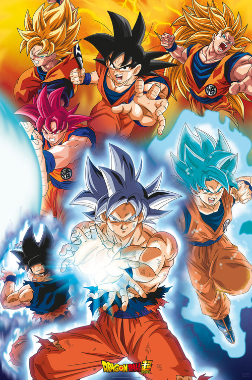 Dragon Ball Super Gokus Transformations Poster 61X91 5cm | Yourdecoration.it