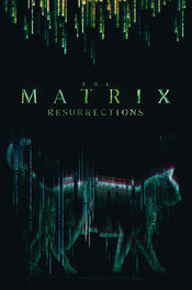 Abystyle Abydco864 The Matrix Cat Poster 61x91,5cm | Yourdecoration.it