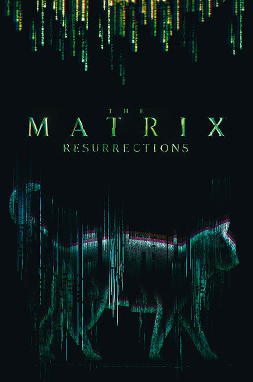 Abystyle Abydco864 The Matrix Cat Poster 61x91,5cm | Yourdecoration.it