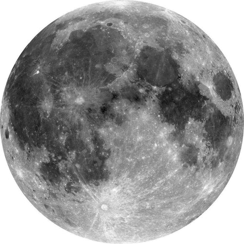 D1 019 Komar Moon Carta Da Parati In Tessuto Non Tessuto 125X125cm Rotonda | Yourdecoration.it