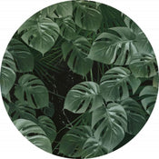 D1 023 Komar Novel Monstera Carta Da Parati In Tessuto Non Tessuto 125X125cm Rotonda | Yourdecoration.it