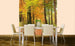 Dimex Autumn Forest Carta Da Parati In Tessuto Non Tessuto 225X250cm 3 Strisce Ambiente_C5A35Ed0 4808 4Cfa 8552 0E2066091C19 | Yourdecoration.it