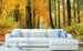 Dimex Autumn Forest Carta Da Parati In Tessuto Non Tessuto 375X250cm 5 Strisce Ambiente_B191D510 Cab0 4Ef5 9B53 23Fdd38A5161 | Yourdecoration.it