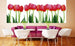 Dimex Bed Of Tulips Carta Da Parati In Tessuto Non Tessuto 375X150cm 5 Strisce Ambiente_9035521D 05F8 490D 877F Fa44Ef198Ce3 | Yourdecoration.it