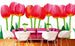 Dimex Bed Of Tulips Carta Da Parati In Tessuto Non Tessuto 375X250cm 5 Strisce Ambiente_Dfa397D2 38A5 4214 93F1 Ae5Df45A6B21 | Yourdecoration.it