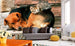 Dimex Cat And Dog Carta Da Parati In Tessuto Non Tessuto 375X250cm 5 Strisce Ambiente_D6F65E51 8E9C 4721 Aa3E 79A3699B7C97 | Yourdecoration.it