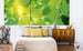 Dimex Green Leaves Carta Da Parati In Tessuto Non Tessuto 375X150cm 5 Strisce Ambiente_815D1123 A6Ef 4F8E A02E Da0A4C297A92 | Yourdecoration.it