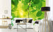 Dimex Green Leaves Carta Da Parati In Tessuto Non Tessuto 375X250cm 5 Strisce Ambiente_8B02F33A Ea41 4374 A0Ec C3B1C715Bc26 | Yourdecoration.it