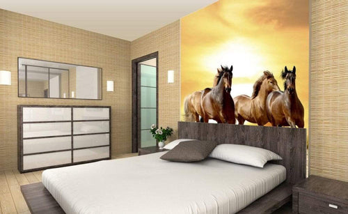 Dimex Horses In Sunset Carta Da Parati In Tessuto Non Tessuto 225X250cm 3 Strisce Ambiente_58C8A3B3 C4F2 47E0 897A Bf7279Bbd9B5 | Yourdecoration.it