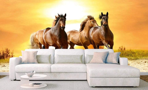 Dimex Horses In Sunset Carta Da Parati In Tessuto Non Tessuto 375X250cm 5 Strisce Ambiente_4C43Ea19 1297 4495 8F55 31F6Ccde5Cce | Yourdecoration.it