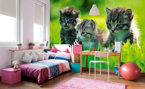 Dimex Kittens Carta Da Parati In Tessuto Non Tessuto 375X250cm 5 Strisce Ambiente_D2960498 Aae7 41E7 9629 4D042C4C14Fa | Yourdecoration.it