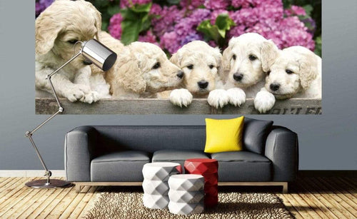 Dimex Labrador Puppies Carta Da Parati In Tessuto Non Tessuto 375X150cm 5 Strisce Ambiente_Fa74C9Af A092 45B1 9A58 1A54A4E4C7D1 | Yourdecoration.it