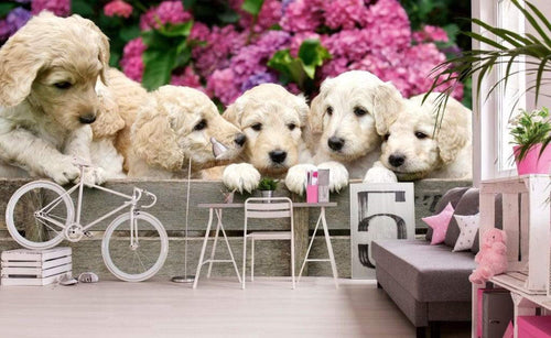 Dimex Labrador Puppies Carta Da Parati In Tessuto Non Tessuto 375X250cm 5 Strisce Ambiente_C6B3Ef7B 334A 4C85 B2E9 Fdf453F8648D | Yourdecoration.it