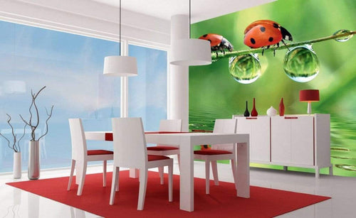 Dimex Ladybird Carta Da Parati In Tessuto Non Tessuto 225X250cm 3 Strisce Ambiente_C548273B 286E 416E 893B 20B7Fdaf8566 | Yourdecoration.it