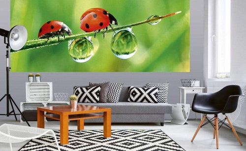 Dimex Ladybird Carta Da Parati In Tessuto Non Tessuto 375X150cm 5 Strisce Ambiente_C351875C D2Ca 404D 934C 2A4B019Ea92F | Yourdecoration.it