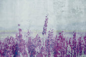 Dimex Lavender Abstract Carta Da Parati In Tessuto Non Tessuto 375X250cm 5 Strisce | Yourdecoration.it