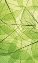 Dimex Leaf Veins Carta Da Parati In Tessuto Non Tessuto 150X250cm 2 Strisce_132557Ff 87A4 4371 9B8F 764416A80E73 | Yourdecoration.it