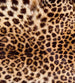 Dimex Leopard Skin Carta Da Parati In Tessuto Non Tessuto 225X250cm 3 Strisce_F7A63Bdc 0Cec 41Ab B738 061F3261Dc72 | Yourdecoration.it