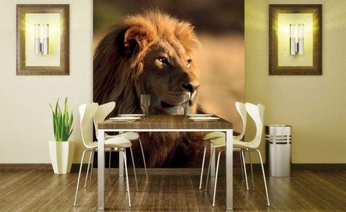 Dimex Lion Carta Da Parati In Tessuto Non Tessuto 225X250cm 3 Strisce Ambiente_C5Aea89F 8828 4Bb9 8806 6295E3F79F5F | Yourdecoration.it