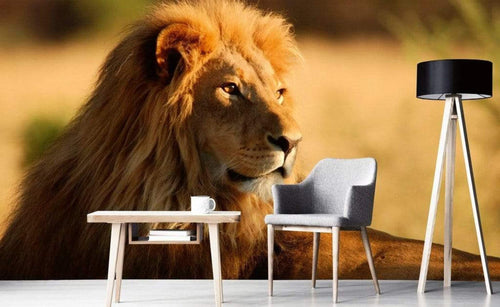 Dimex Lion Carta Da Parati In Tessuto Non Tessuto 375X250cm 5 Strisce Ambiente_743Af22A 9342 4B6F 995D E13663Cfef70 | Yourdecoration.it