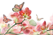 Dimex Orchids And Butterfly Carta Da Parati In Tessuto Non Tessuto 375X250cm 5 Strisce_5A4Aab15 Ee48 43A8 868D 2Bc8A4Bfb035 | Yourdecoration.it