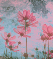 Dimex Pink Flower Abstract Carta Da Parati In Tessuto Non Tessuto 225X250cm 3 Strisce | Yourdecoration.it