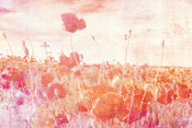 Dimex Poppies Abstract Carta Da Parati In Tessuto Non Tessuto 375X250cm 5 Strisce | Yourdecoration.it