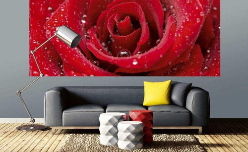 Dimex Red Rose Carta Da Parati In Tessuto Non Tessuto 375X150cm 5 Strisce Ambiente_A62E87C0 3Ebf 4Dd5 A71C 9F0350F89E42 | Yourdecoration.it