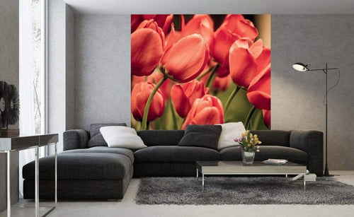 Dimex Red Tulips Carta Da Parati In Tessuto Non Tessuto 225X250cm 3 Strisce Ambiente_4864Ce71 E23E 4809 9410 7Be9F7D5Cf36 | Yourdecoration.it