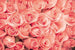 Dimex Roses Carta Da Parati In Tessuto Non Tessuto 375X250cm 5 Strisce_A31D3091 6017 4C25 93Ae 0350Cf22962A | Yourdecoration.it